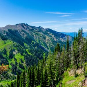 Bozeman, Montana