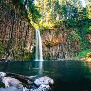 2025 Fall Eugene - Gold sponsor